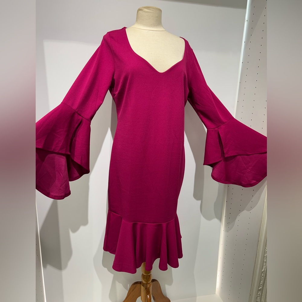 Raspberry dress with flare sleeveses and hem. Size 2X.